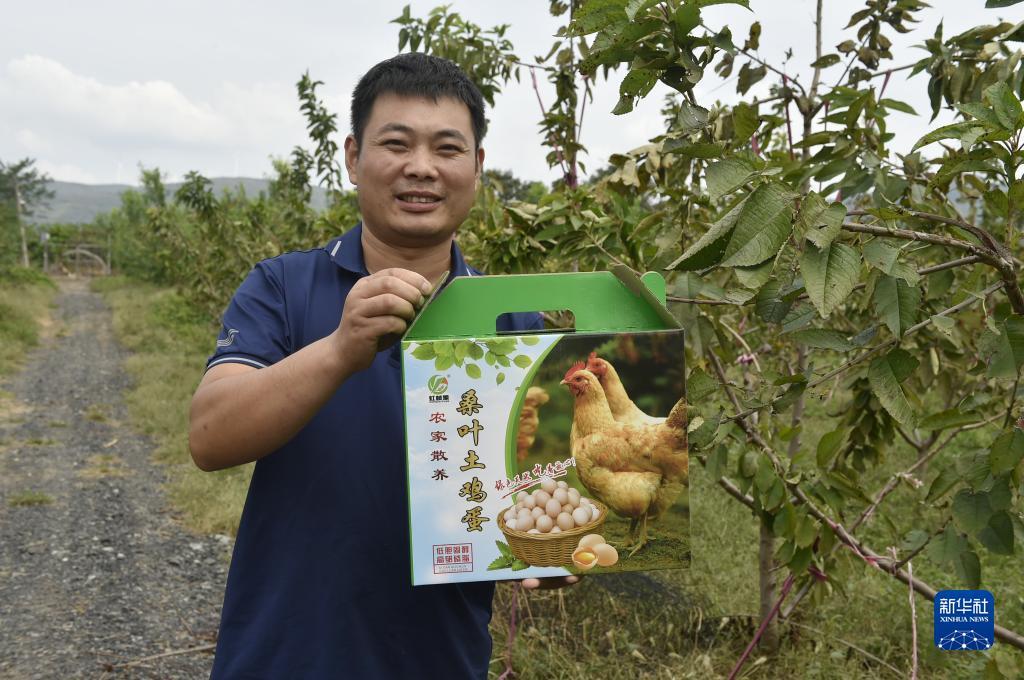 打鱼游戏捕鱼